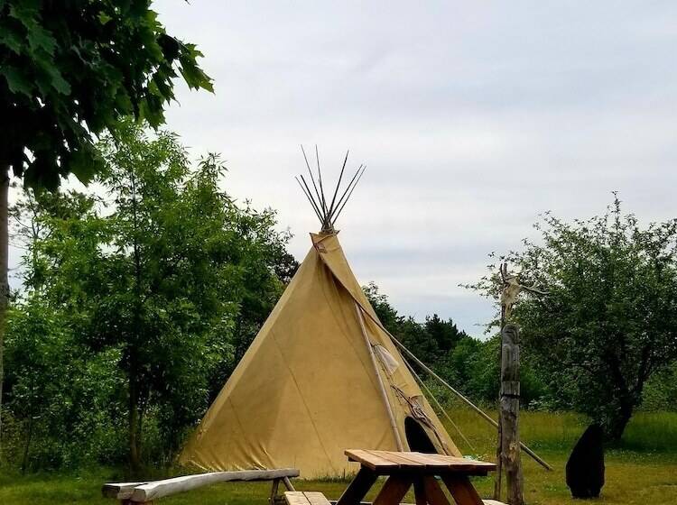 Отель Auberge Le P Tit Bonheur   Hostel