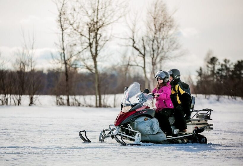 Отель Auberge Le P Tit Bonheur   Hostel