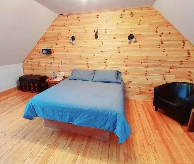 ホテル Auberge Le P Tit Bonheur   Hostel