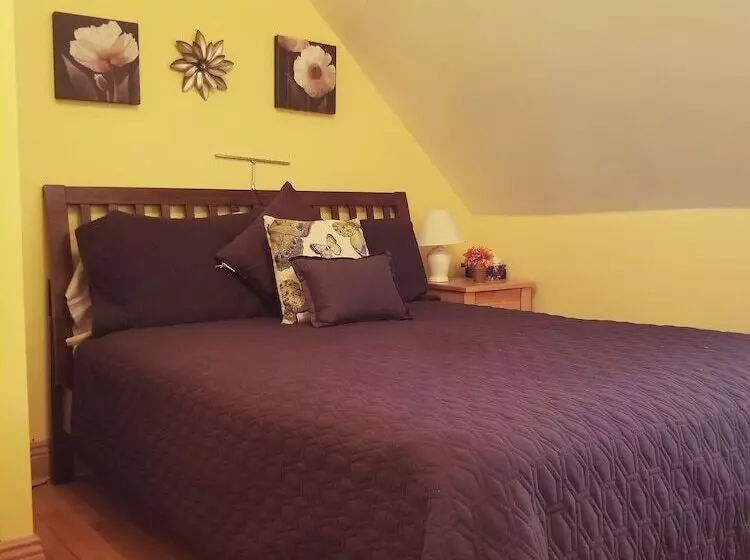 ホテル Auberge Le P Tit Bonheur   Hostel