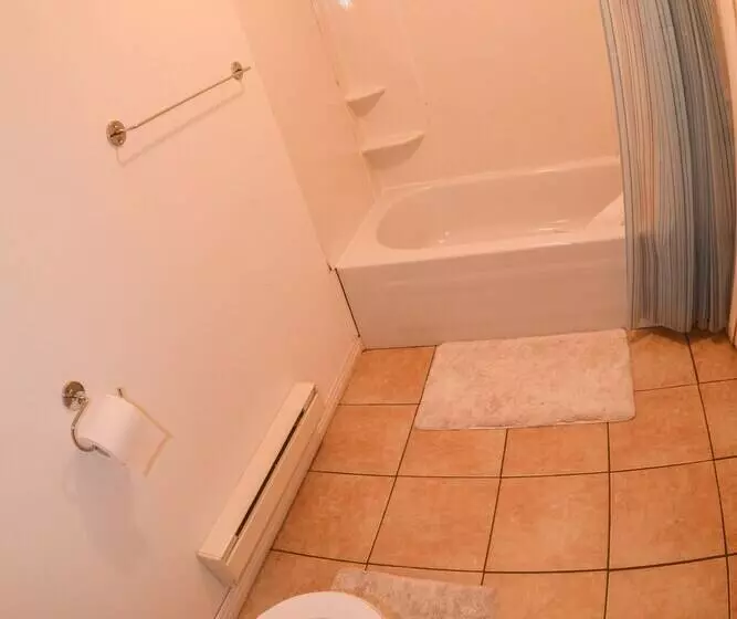 ホテル Auberge Le P Tit Bonheur   Hostel