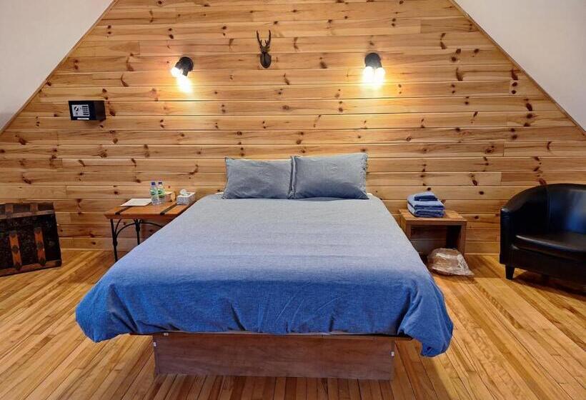 Отель Auberge Le P Tit Bonheur   Hostel