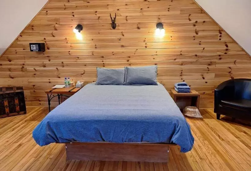 ホテル Auberge Le P Tit Bonheur   Hostel