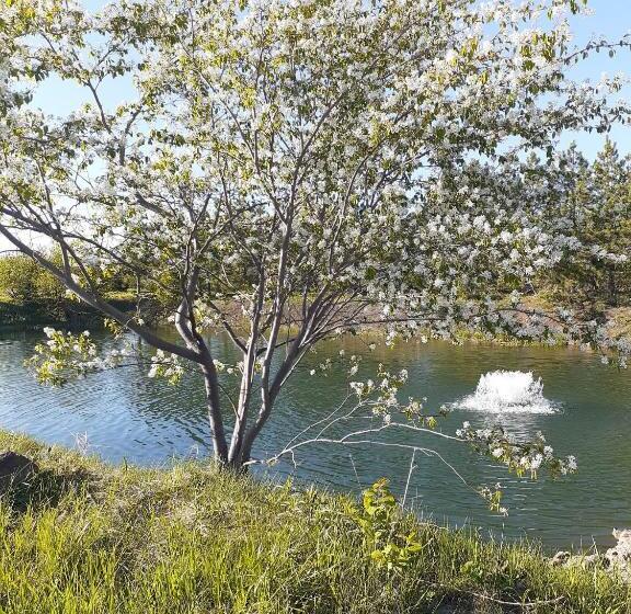 Отель Auberge Le P Tit Bonheur   Hostel