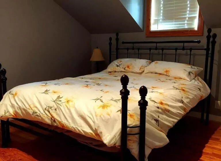 ホテル Auberge Le P Tit Bonheur   Hostel