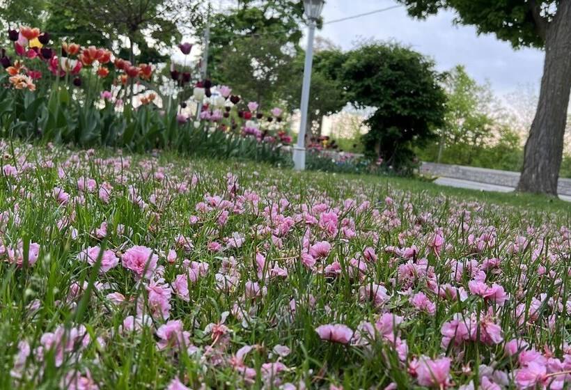 هتل Bedham Hall B&b