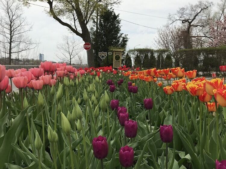 هتل Bedham Hall B&b