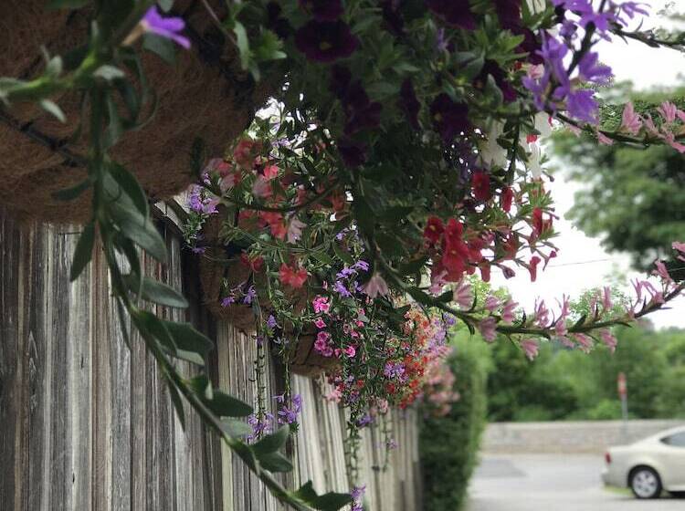 هتل Bedham Hall B&b