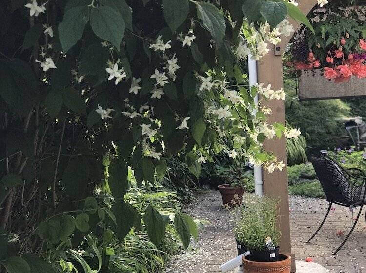 هتل Bedham Hall B&b