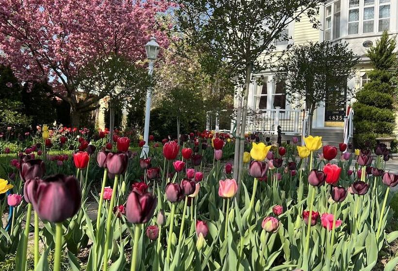 هتل Bedham Hall B&b