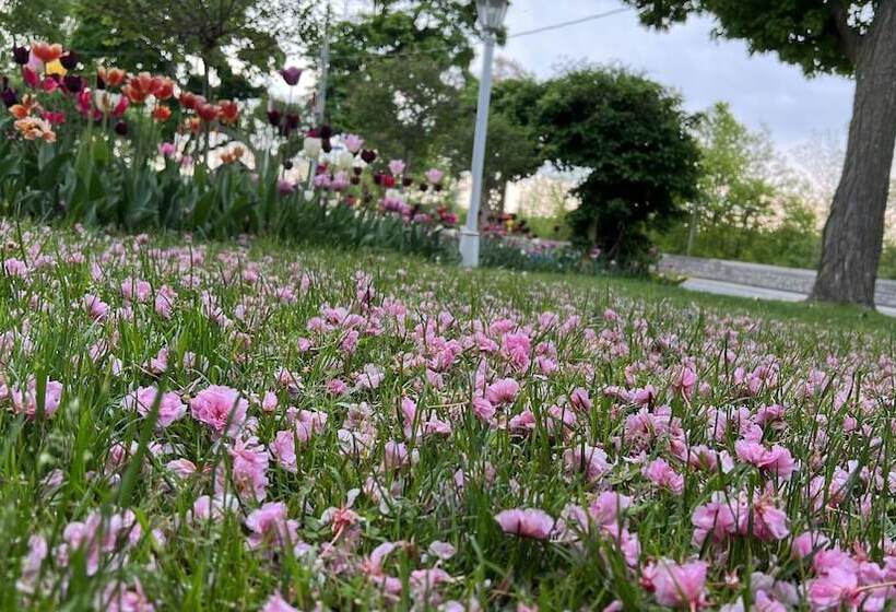 هتل Bedham Hall B&b