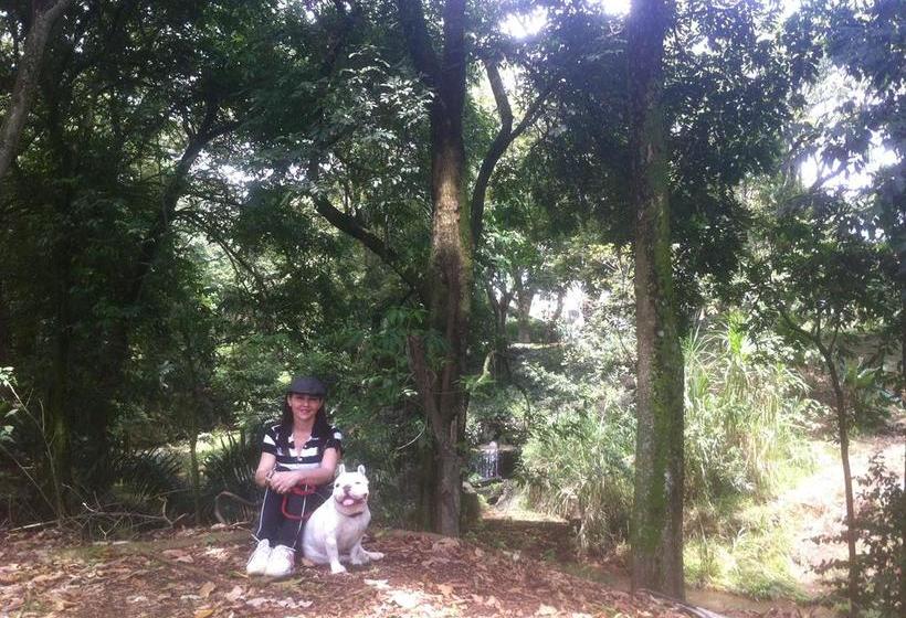 ホテル Boutique Casa Lomanti