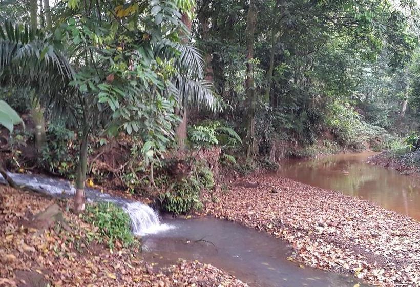 ホテル Boutique Casa Lomanti