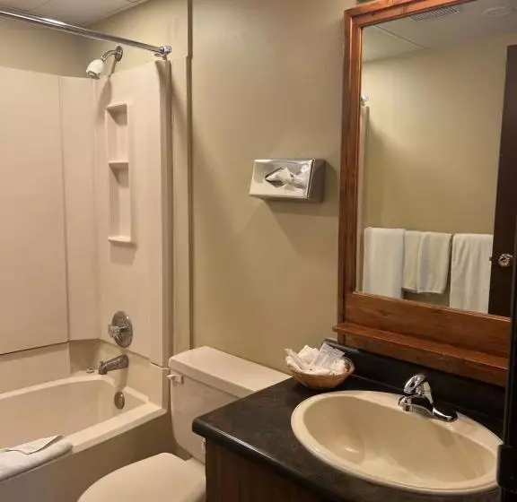 ホテル Capri Motor Inn