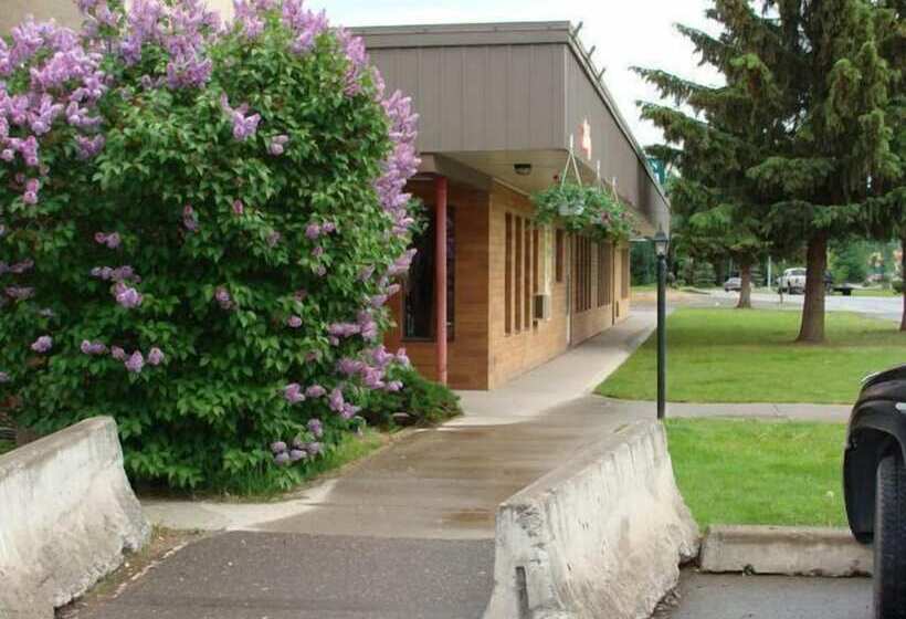 هتل Capri Motor Inn