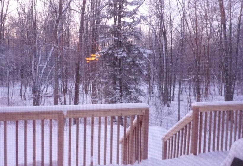 酒店 Connemara Bed And Breakfast