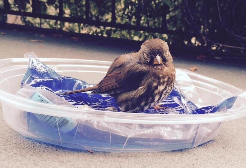 酒店 Cycle Inn Bed And Breakfast