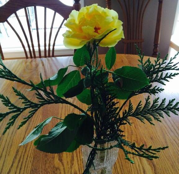 酒店 Cycle Inn Bed And Breakfast