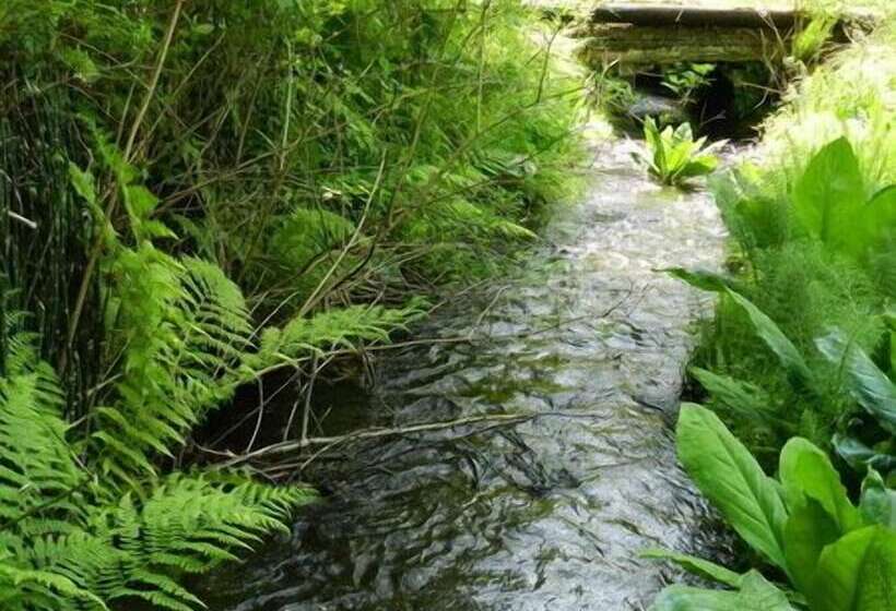 Hotelli Forest Echoes Cabins
