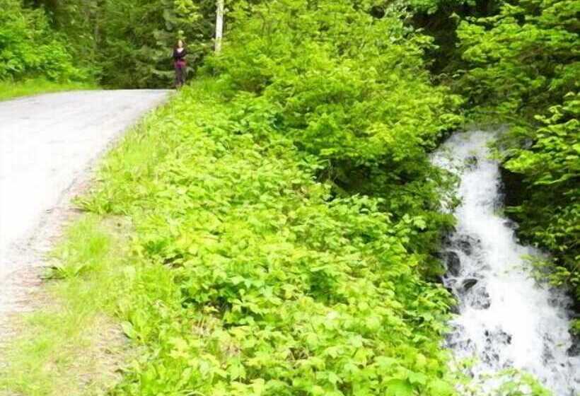 Hotelli Forest Echoes Cabins