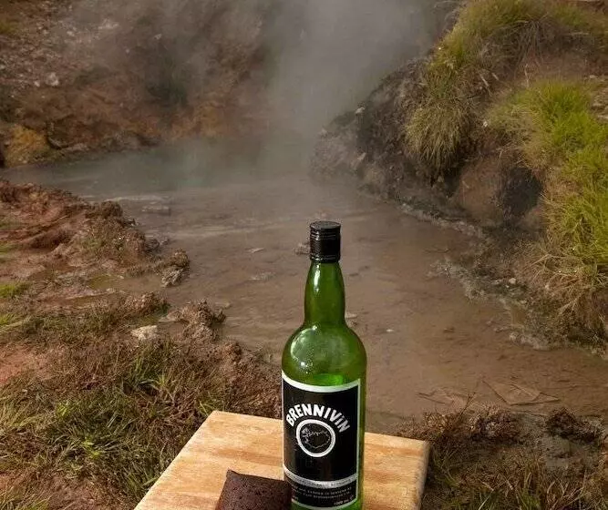هتل Geysir