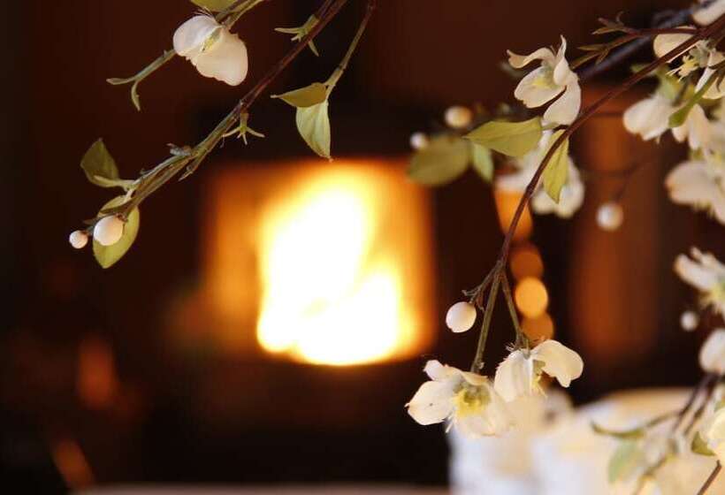 酒店 H2o Hostel Terschelling