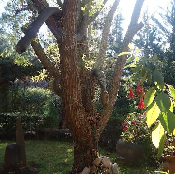 فندق Kuychi Rumi