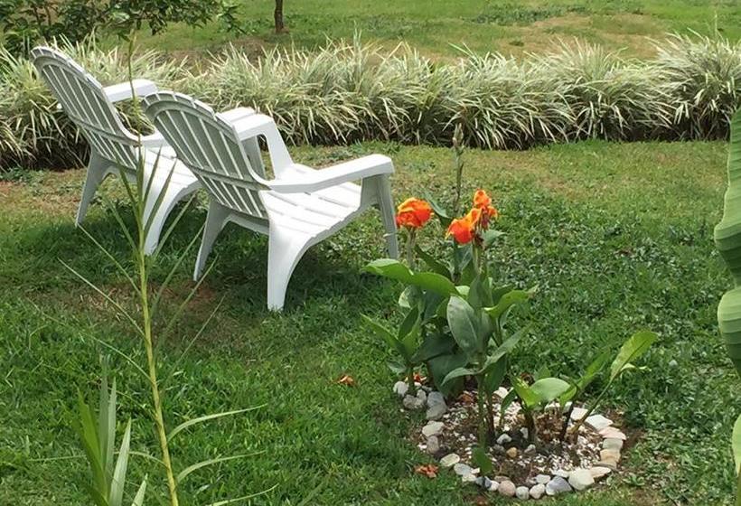 هتل Legacy Boutique