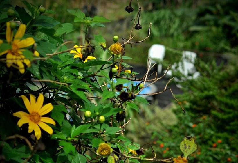 هتل Legacy Boutique