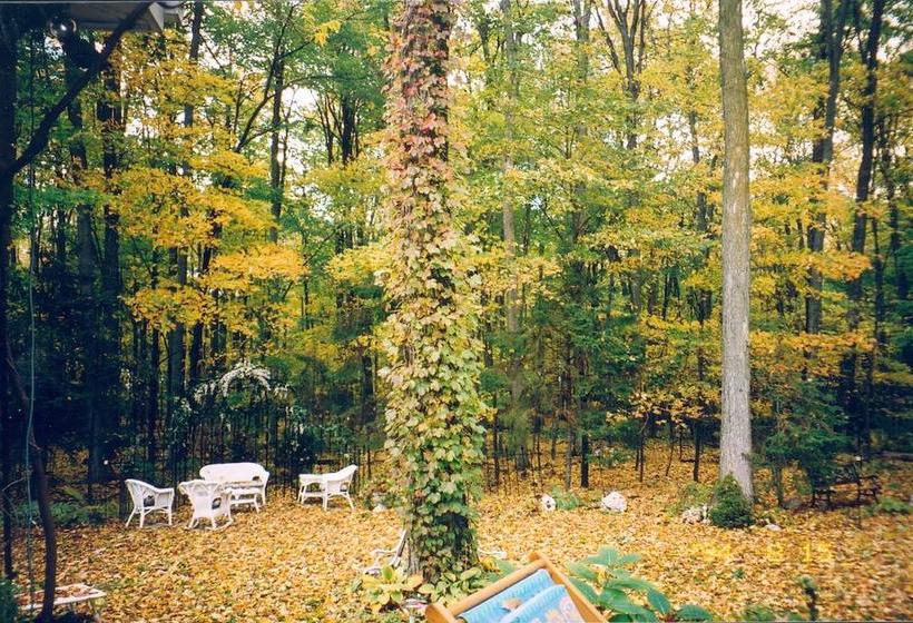 酒店 Les Diplomates B&b Executive Guest House