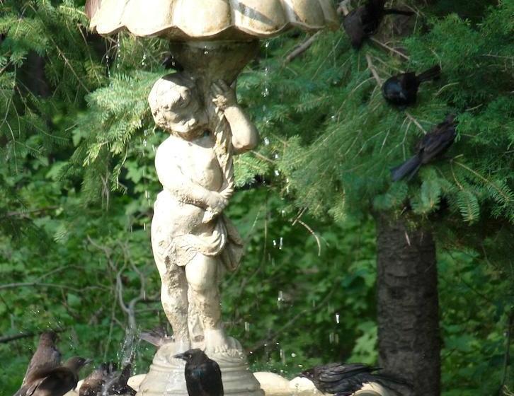 酒店 Les Diplomates B&b Executive Guest House