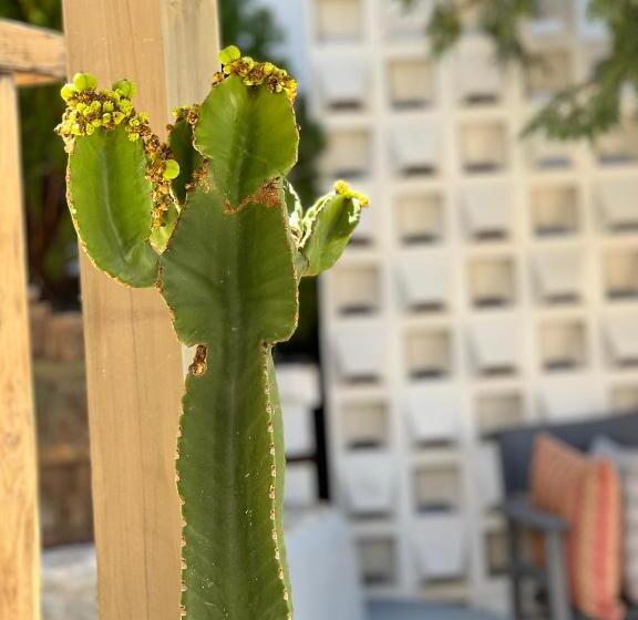 ホテル Portadelmare Deluxe Suites