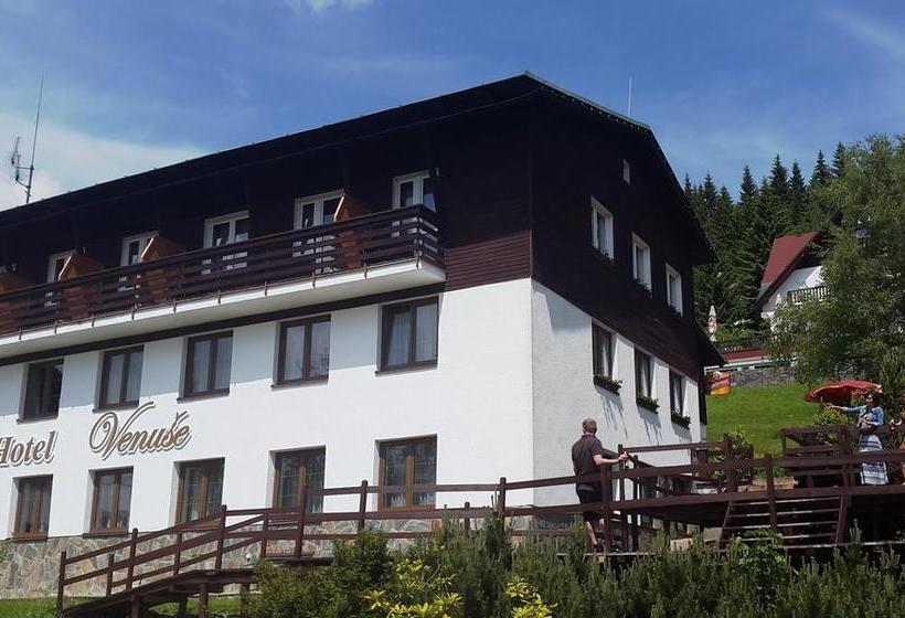 酒店 Venuše