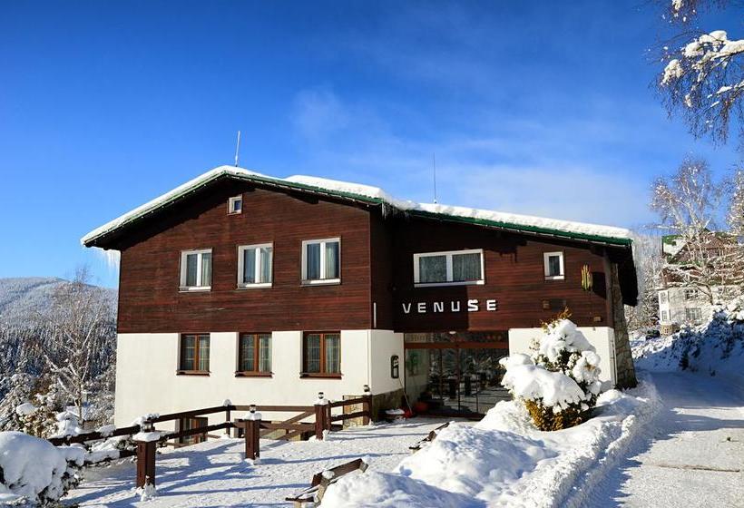 酒店 Venuše