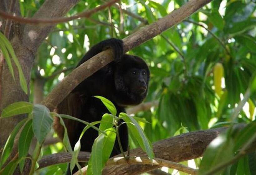 هتل Villas Macondo