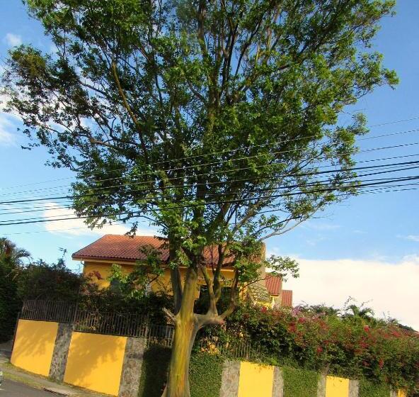 Cariari Bed & Breakfast