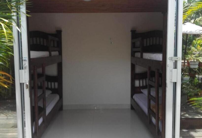 Hostel Hostal Hilltop Salento