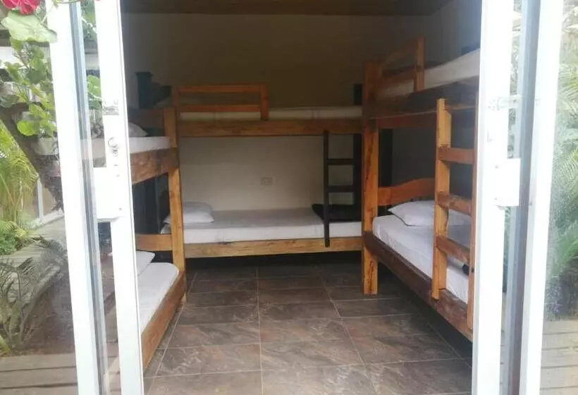 Retkeilymaja Hostal Hilltop Salento