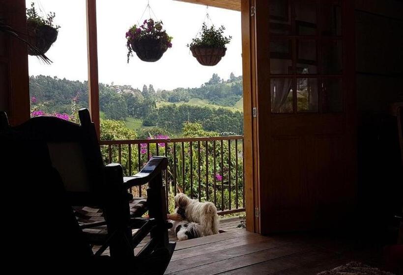 Hostel Hostal Hilltop Salento