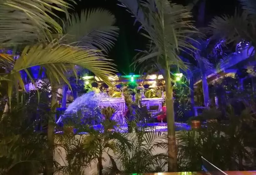 Retkeilymaja Hostal Hilltop Salento