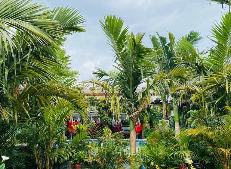 Hostel Hostal Hilltop Salento