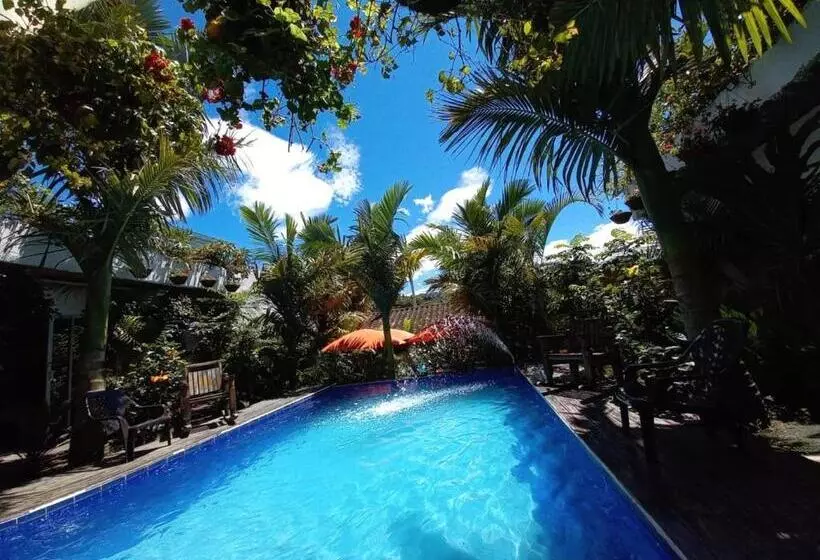 Retkeilymaja Hostal Hilltop Salento