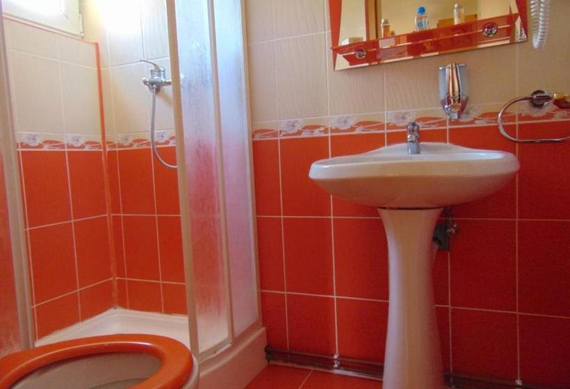 تختخواب و صبحانه Pensiunea Neba