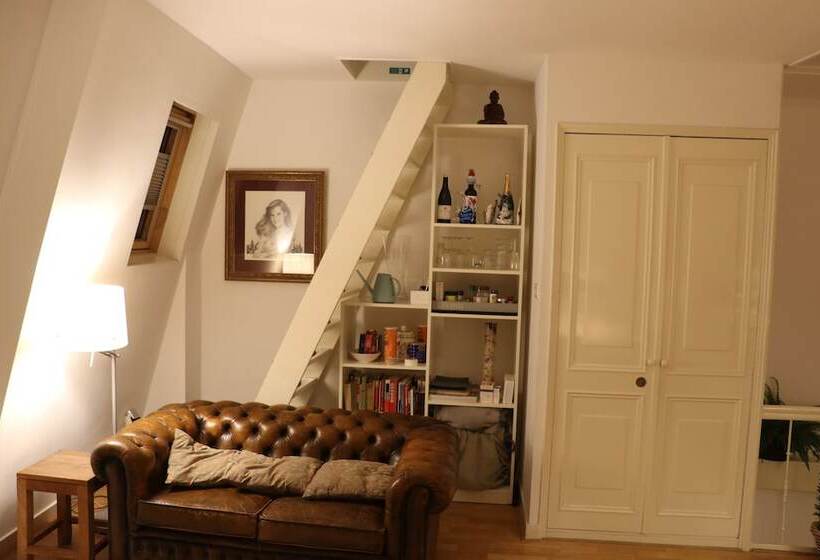 酒店 Adriaen Van Ostade B&b