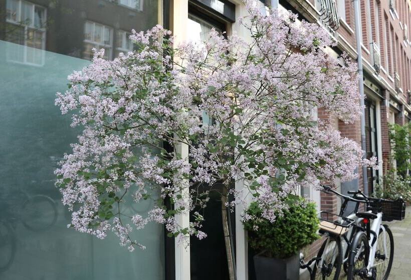 酒店 Adriaen Van Ostade B&b