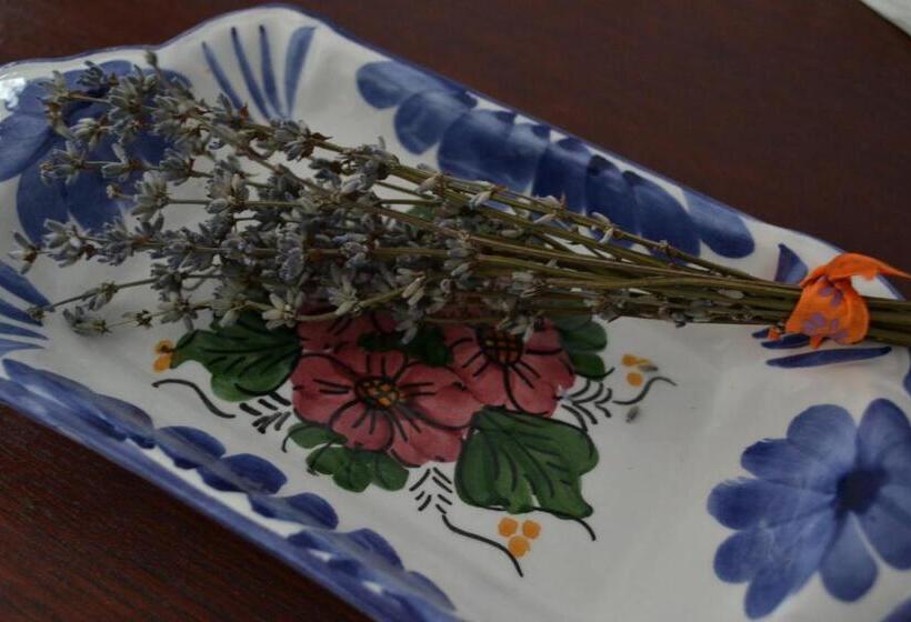 בית מלון כפרי Casa De Oaspeți Sfântul Nicolae