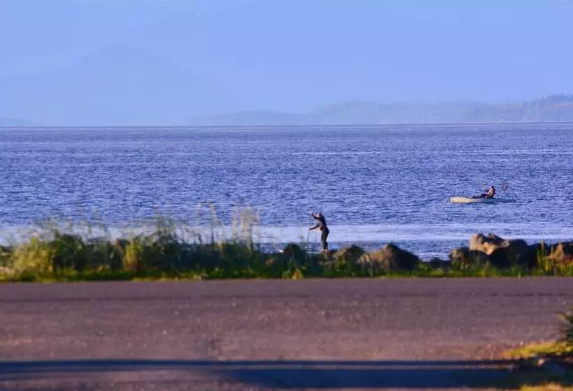 ホテル Oyster Bay Resorts