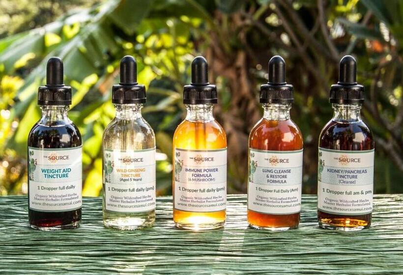 リゾートホテル The Source Herbal Detox Retreat