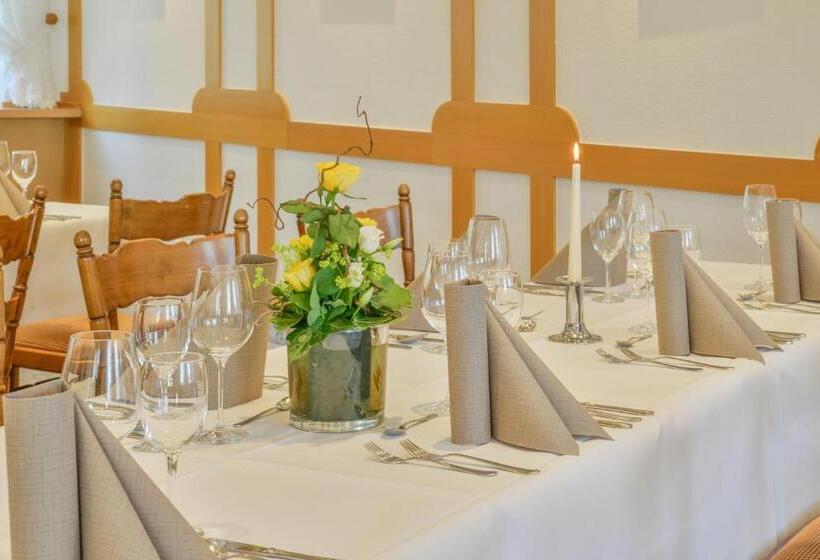 ホテル Bei Meier`s Zum Weißen Roß