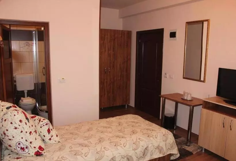 هتل Camere Apartament Steyna